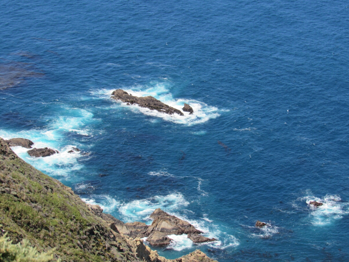 IMG_1197.JPG image