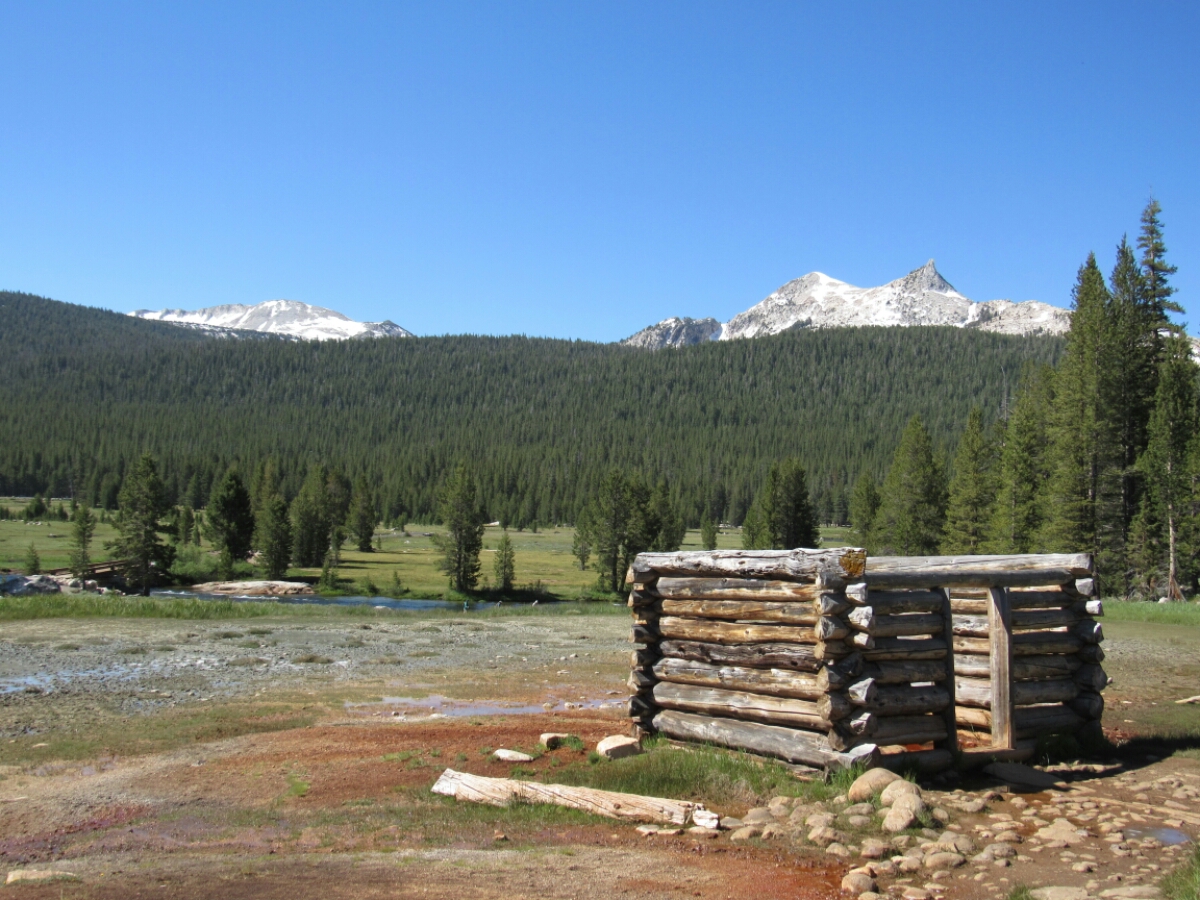 IMG_1814.JPG image