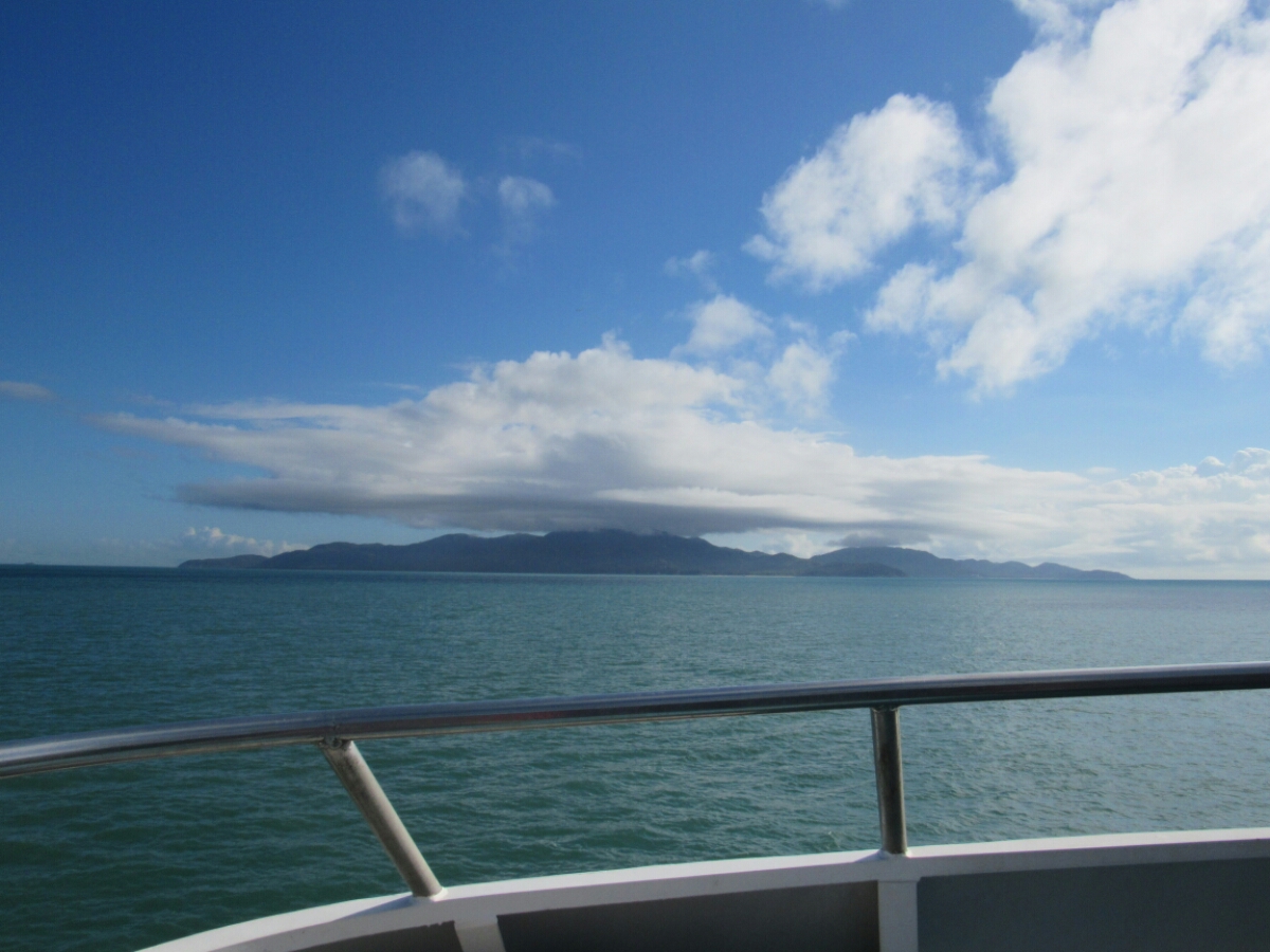 IMG_3524.JPG image