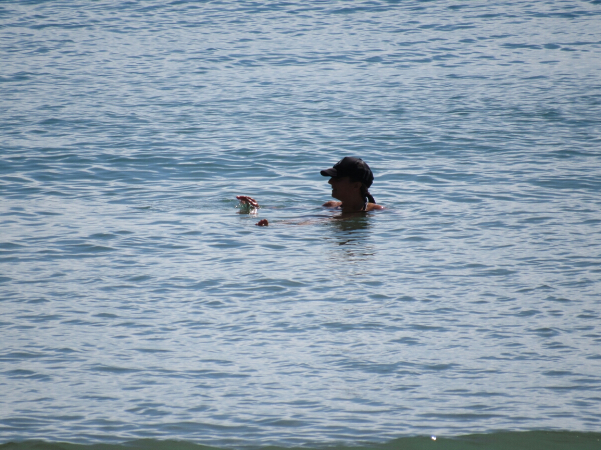 IMG_3546.JPG image