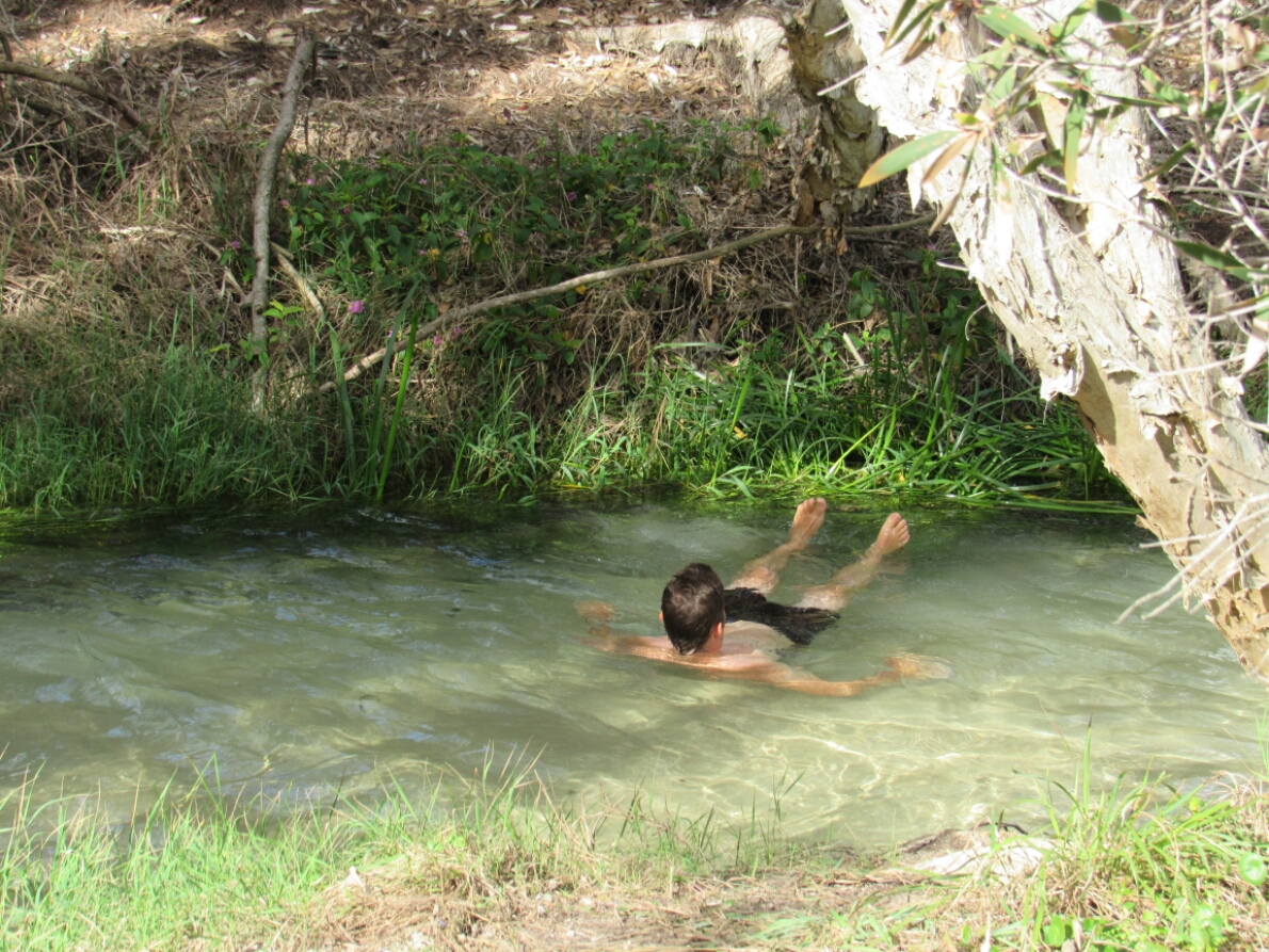 IMG_4188.JPG image