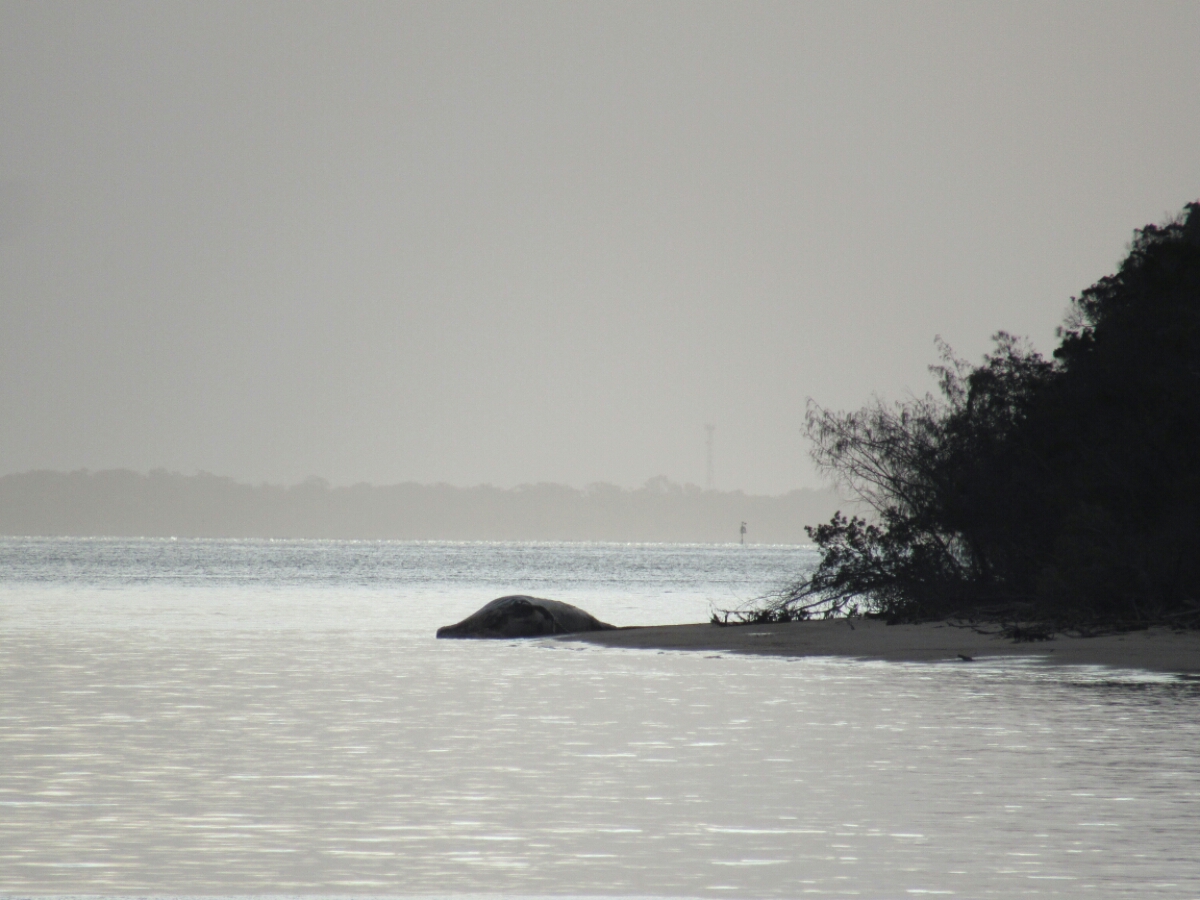 IMG_4193.JPG image