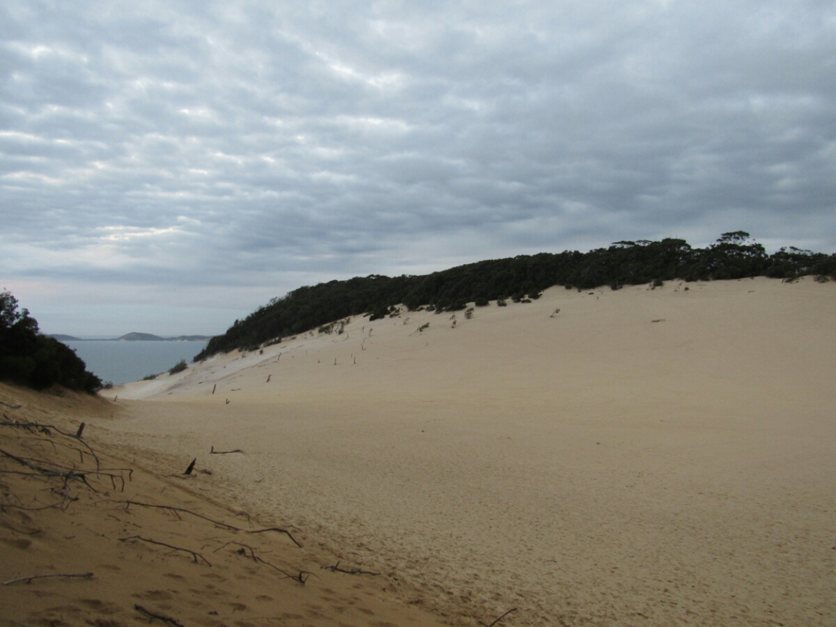 IMG_4197.JPG image