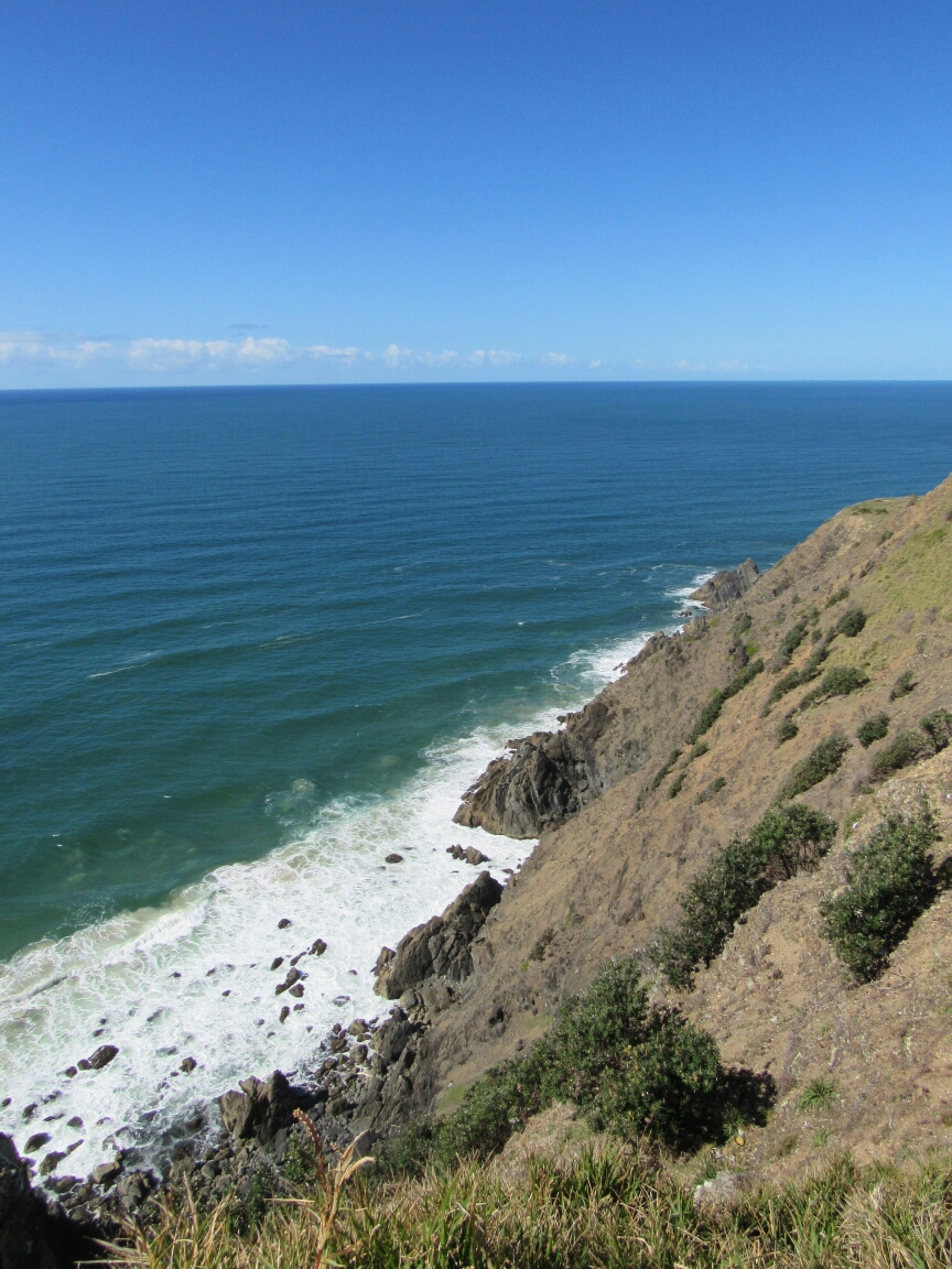 IMG_4382.JPG image