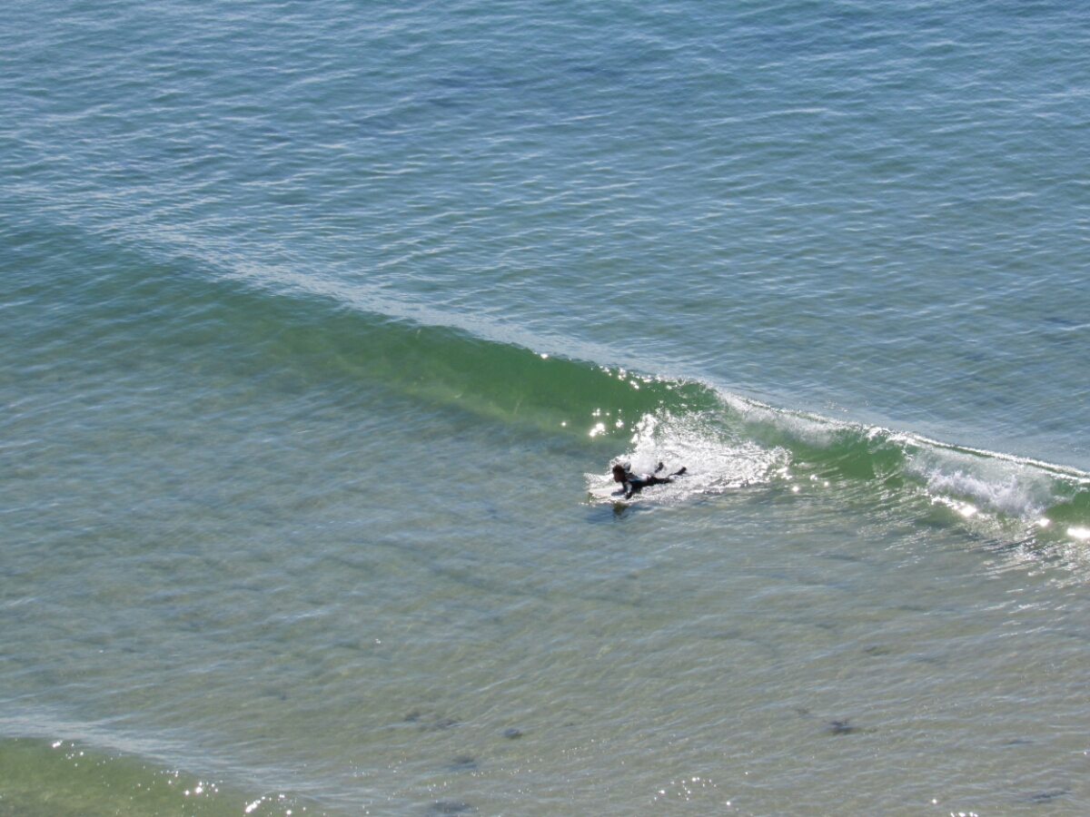 IMG_4406.JPG image