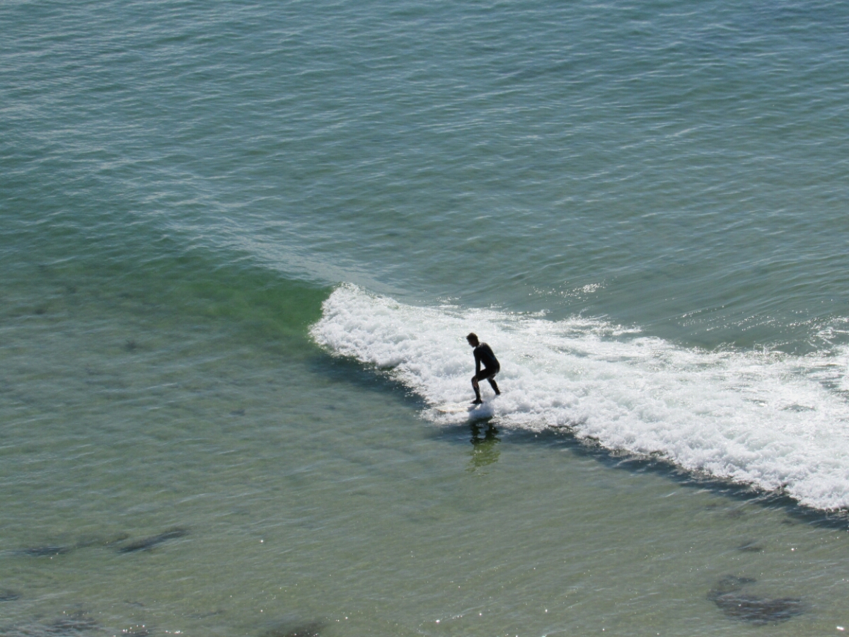 IMG_4407.JPG image