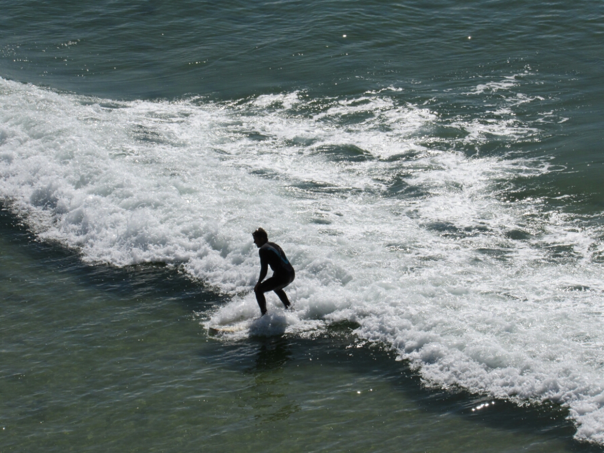 IMG_4415.JPG image