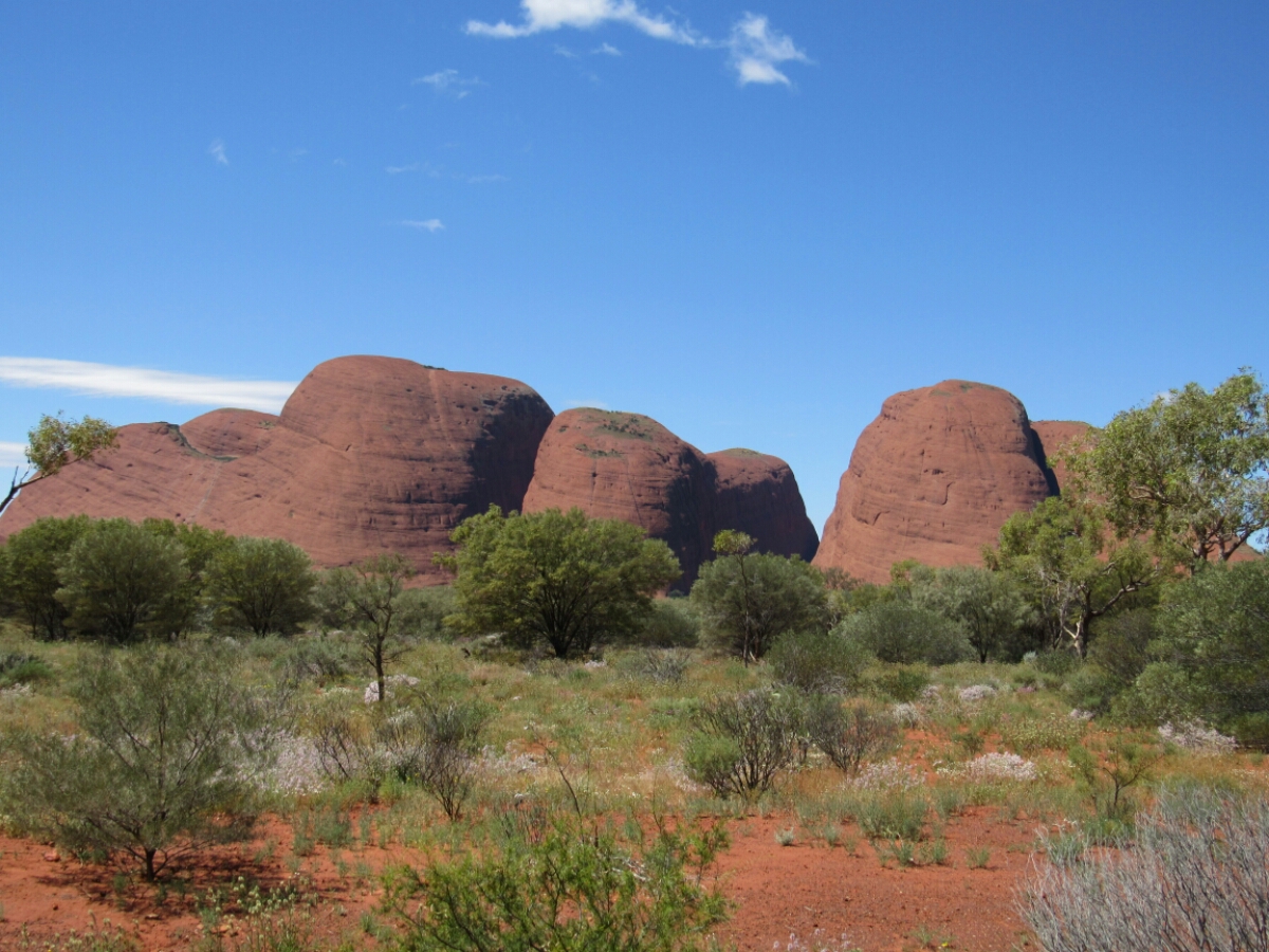 IMG_5169.JPG image