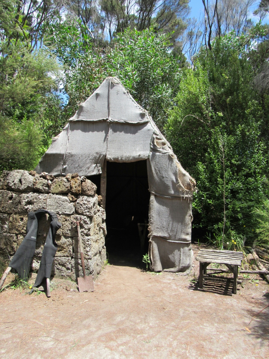 IMG_0528.JPG image
