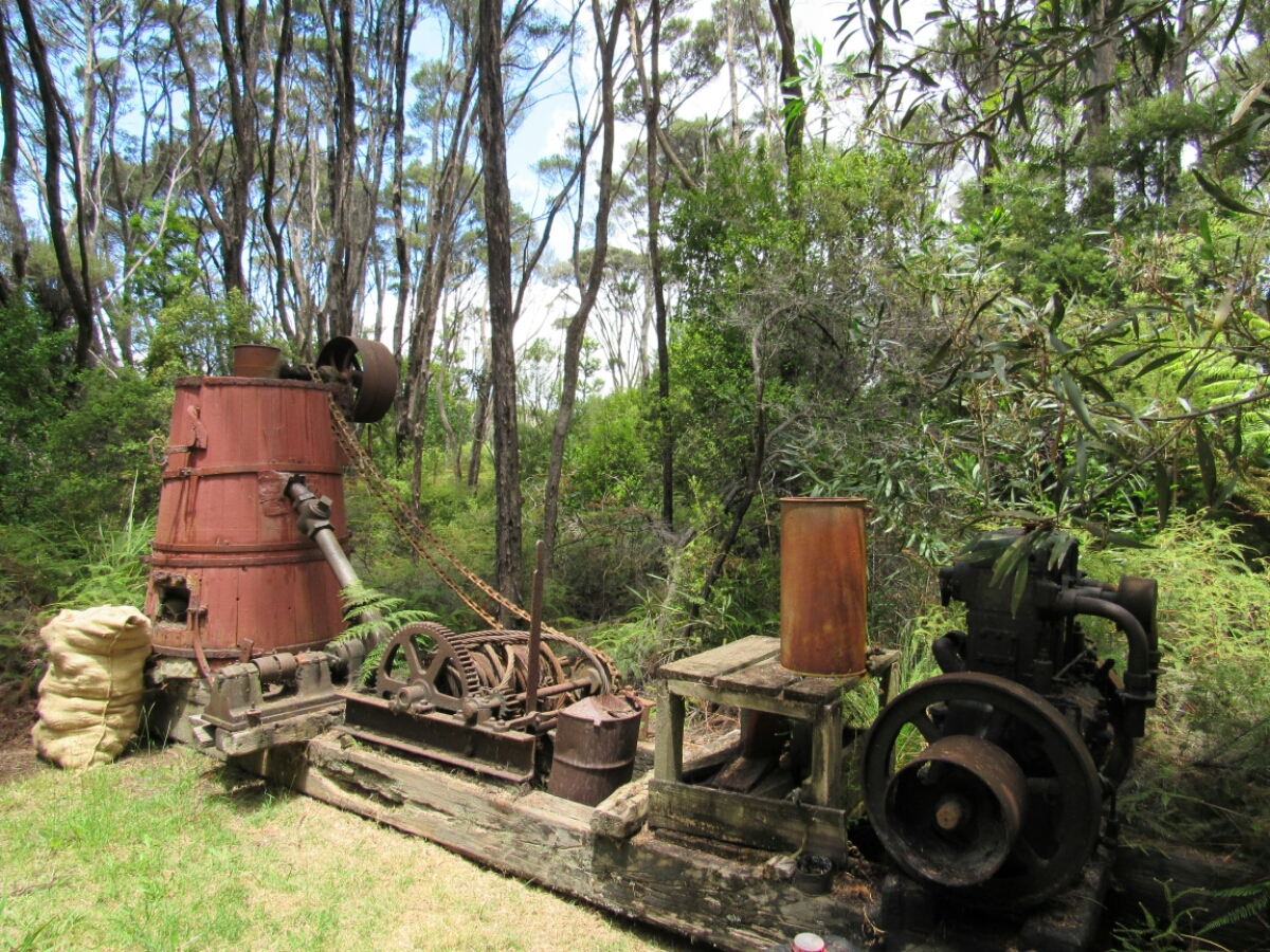 IMG_0531.JPG image