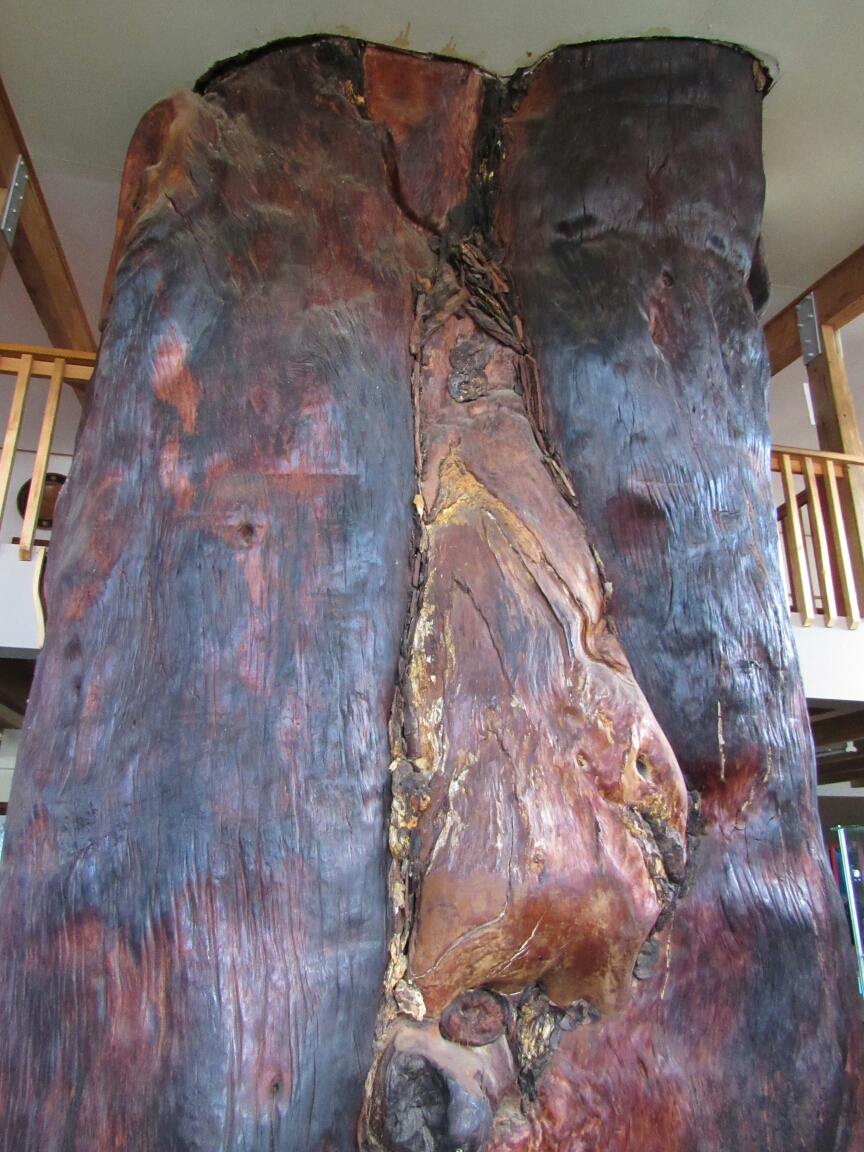 IMG_0536.JPG image