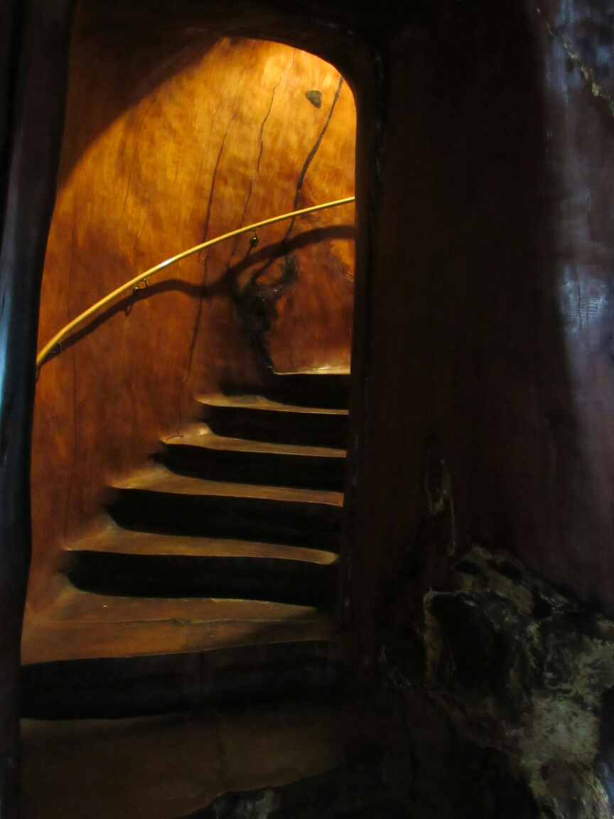 IMG_0541.JPG image