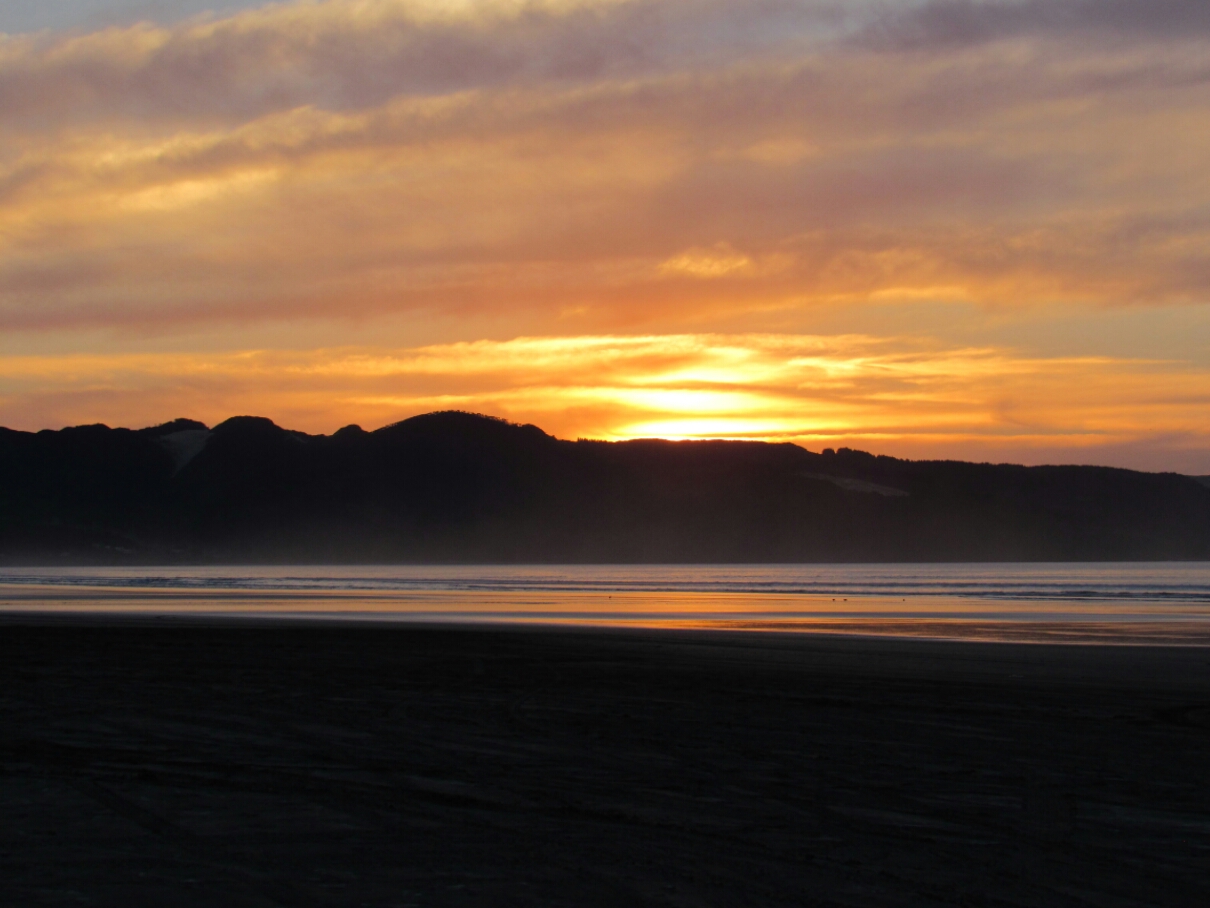 IMG_0552.JPG image