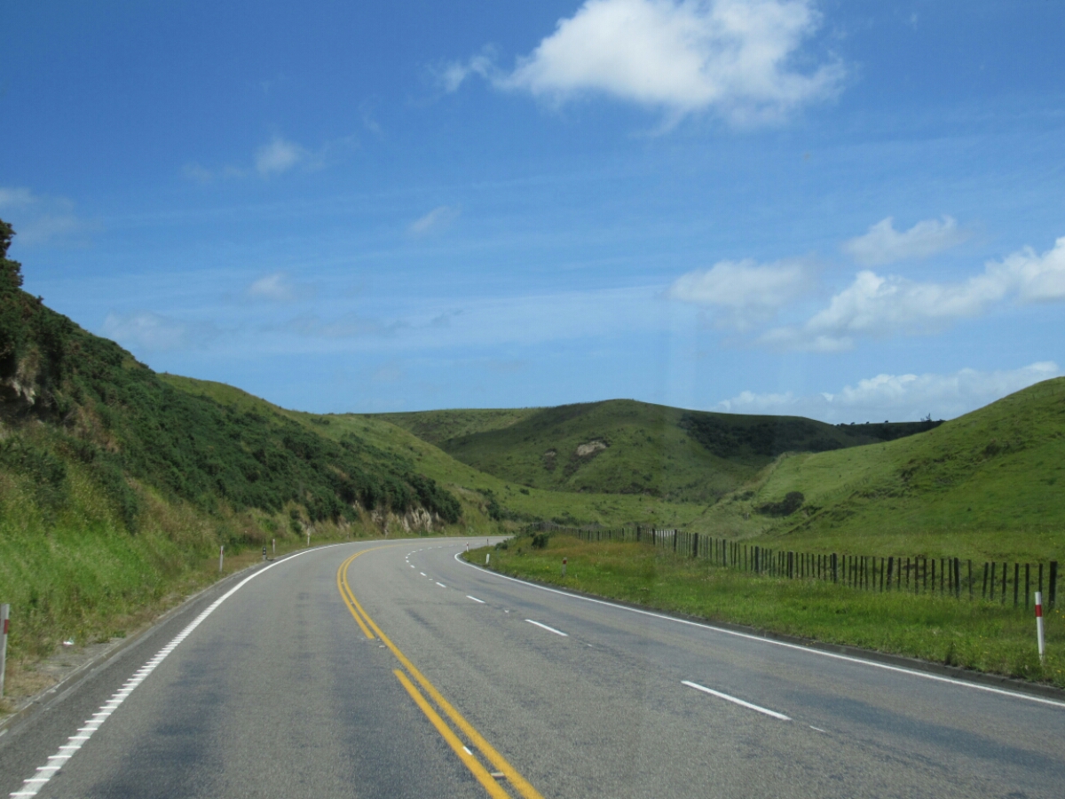 IMG_1188.JPG image