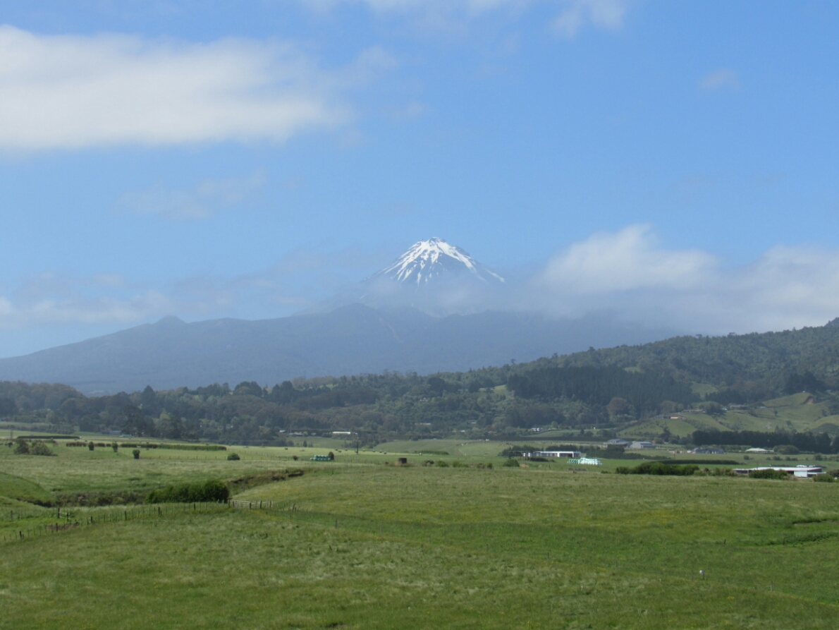 IMG_1198.JPG image