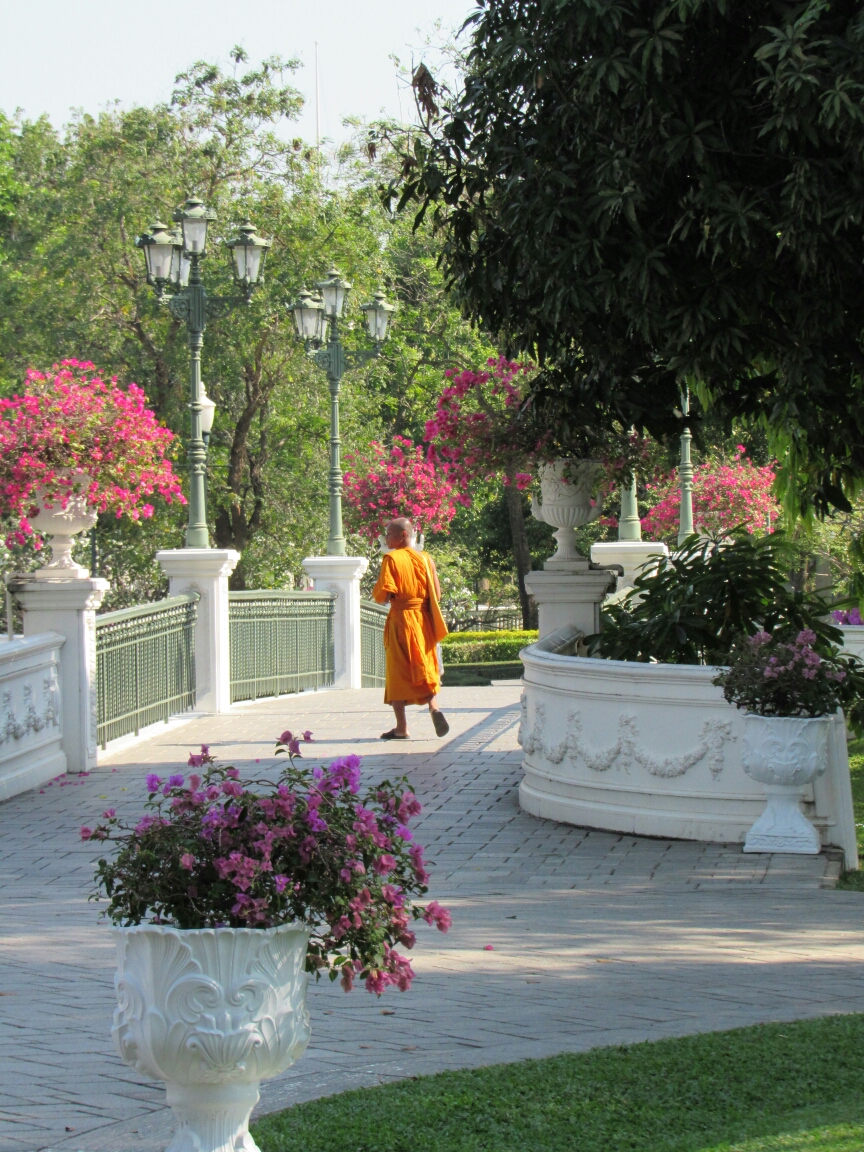 IMG_2544.JPG image