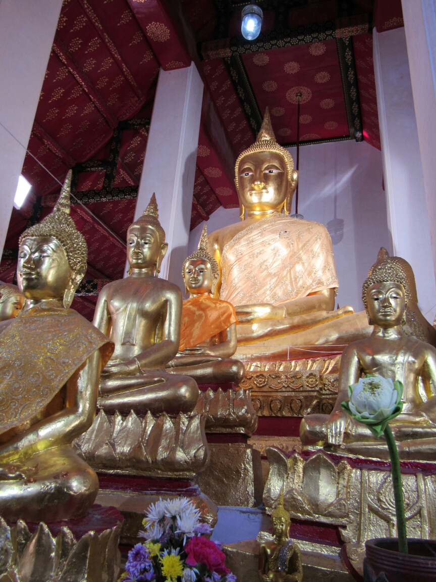 IMG_2885.JPG image