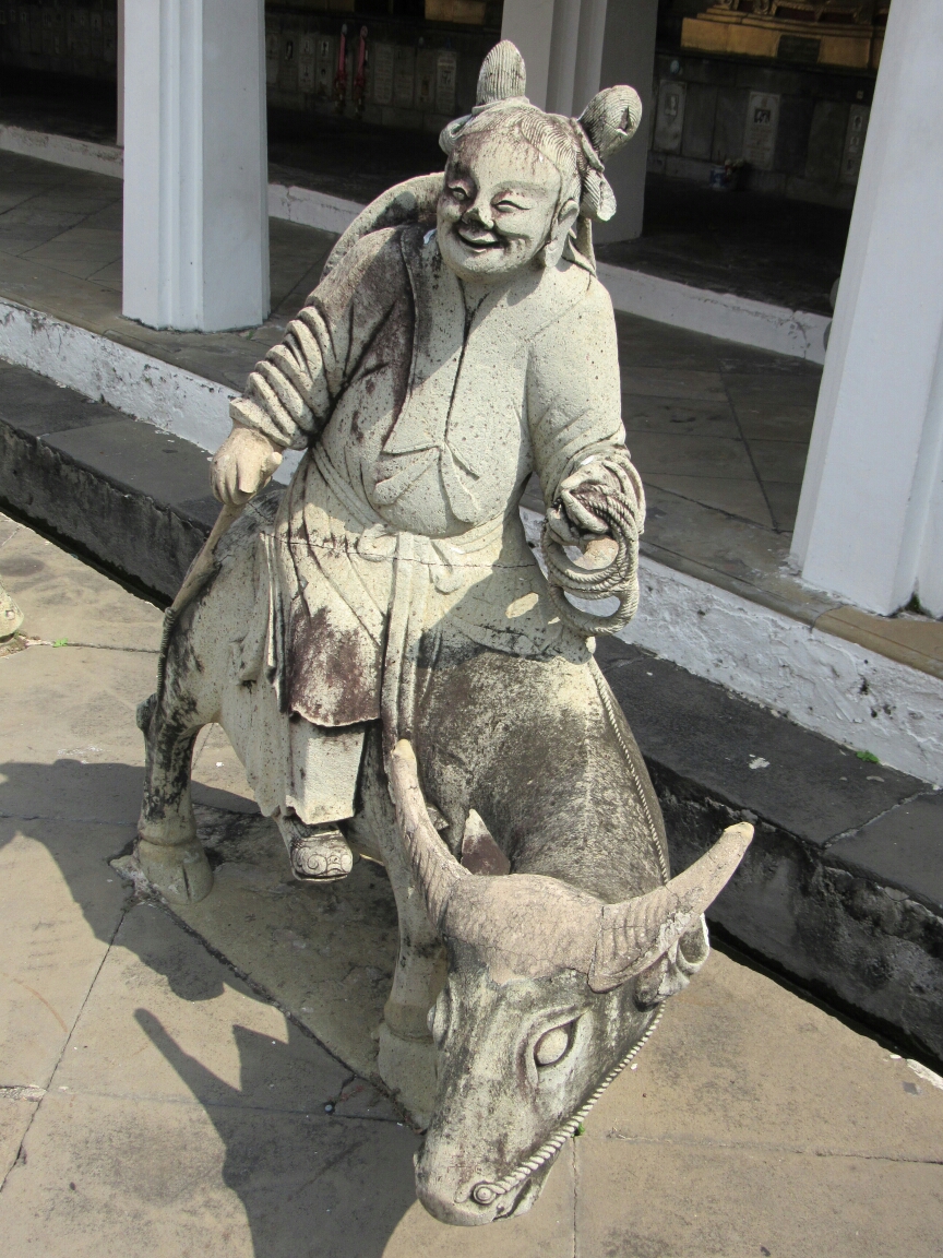 IMG_2897.JPG image
