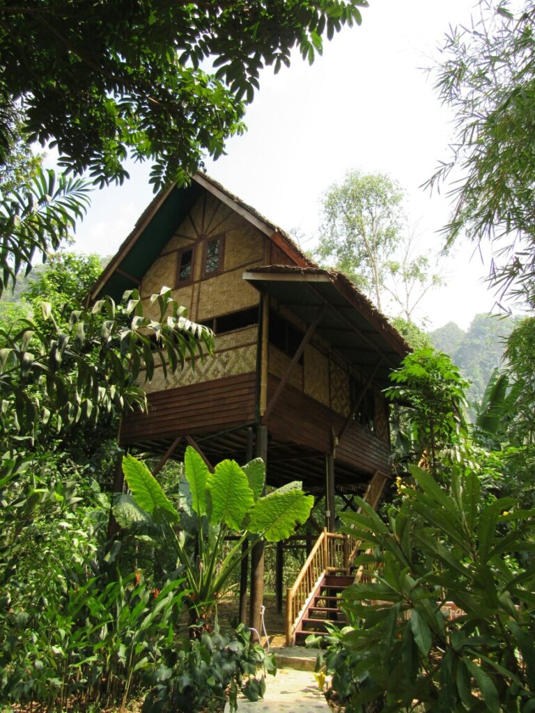 Our Jungle Camp Khao Sok