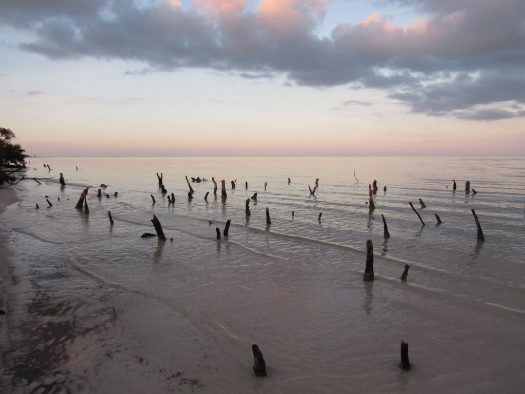 Punta Mosquito Holbox